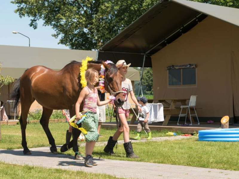 Breehees Glamping