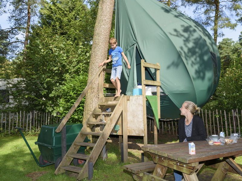 Hertshoorn Glamping