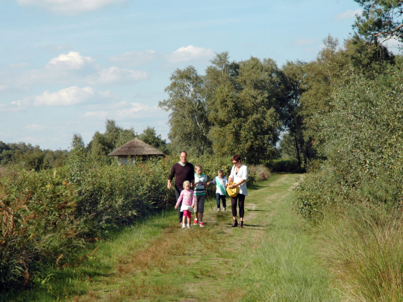 Beringerzand Glamping