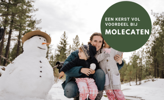 Kerstkorting Molecaten