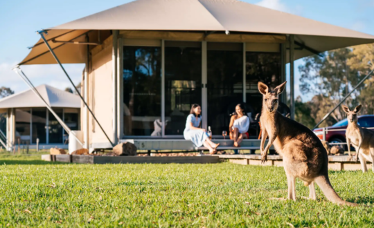 Habitat Noosa Camping - Glamping.nl