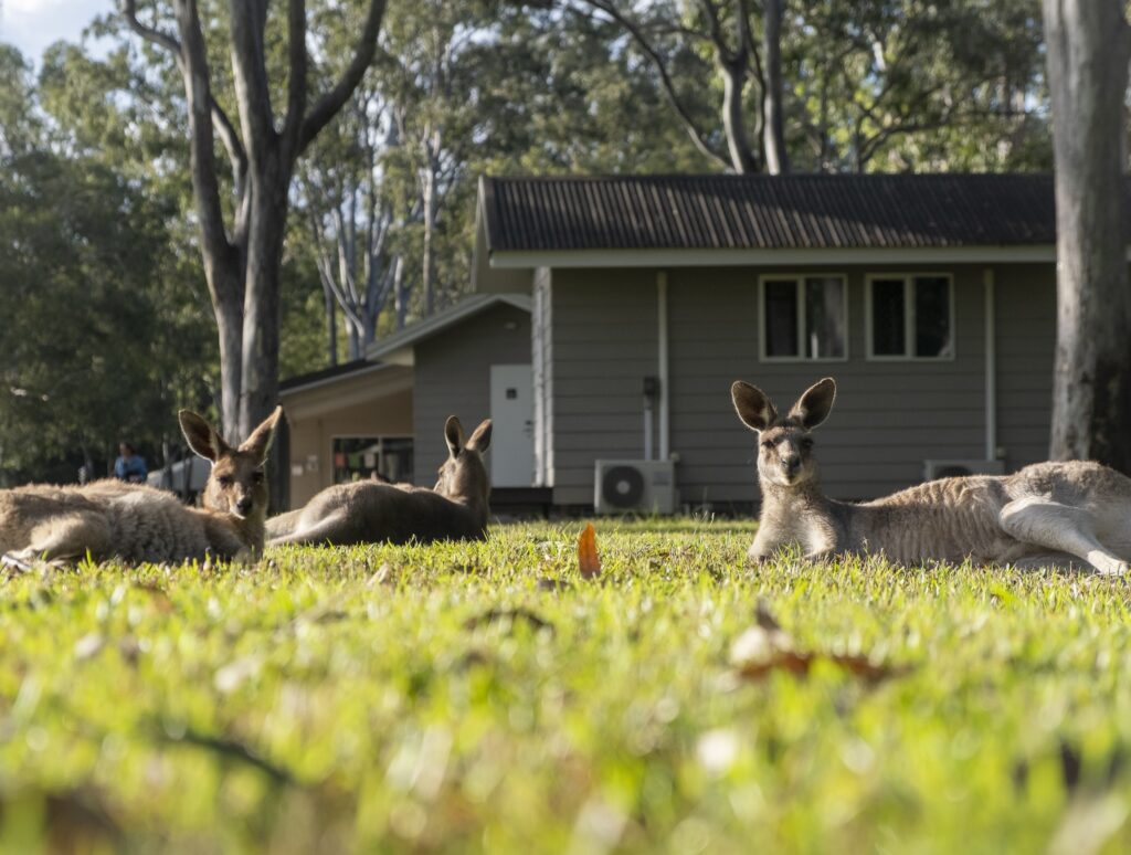 glamping Australië